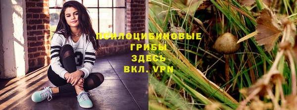 таблы Верея
